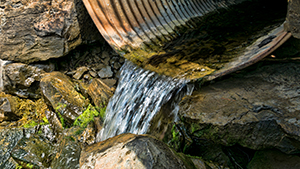 drainage